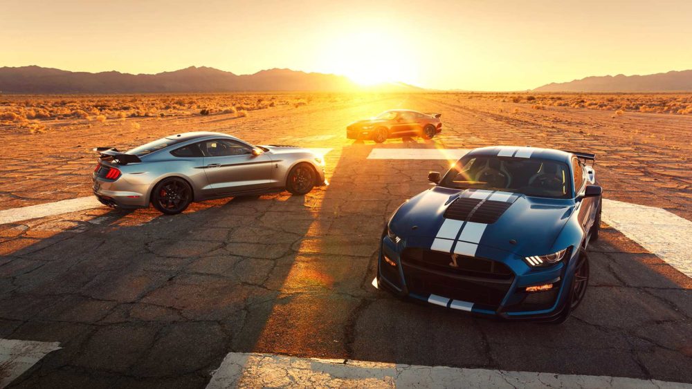 mustang shelby