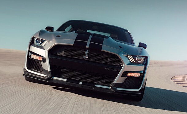 mustang shelby