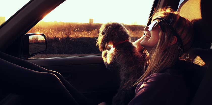 chica con mascota en auto