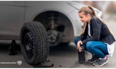 todo-lo-que-debes-saber-sobre-la-gata-electrica-para-auto