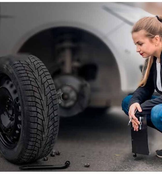 todo-lo-que-debes-saber-sobre-la-gata-electrica-para-auto