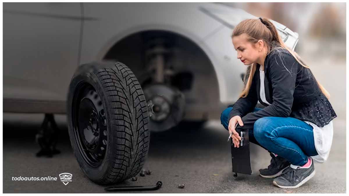 todo-lo-que-debes-saber-sobre-la-gata-electrica-para-auto