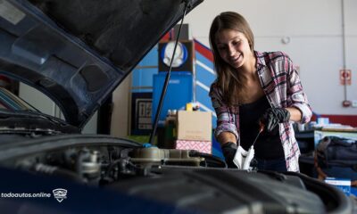 tabla de aceites para motor a gasolina